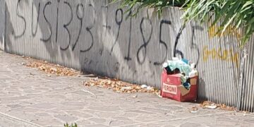 «La strada della stazione e la SS16 disseminate di rifiuti: bottiglie dappertutto»