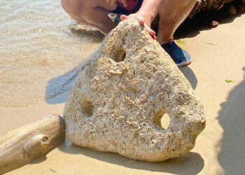 Dalle acque di Punta Aderci riemerge un pezzo di storia: potrebbe trattarsi di un’antica ancora in pietra