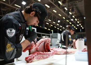 Dall’attività di famiglia alla nazionale macellai, Simone è pronto a volare al World Butchers’ Challenge in California