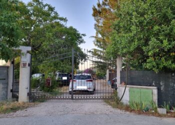 Morte Annamaria D’Eliseo: si fa strada l’ipotesi del suicidio