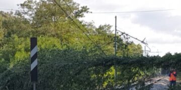 Albero cade sui binari, sospesa la tratta ferroviaria Lanciano-San Vito