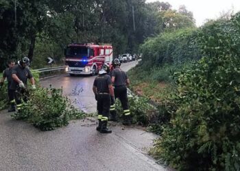 Vento forte: alberi spezzati, quartieri senza corrente e strade chiuse. A Lanciano chiuso Corso Trento e Trieste