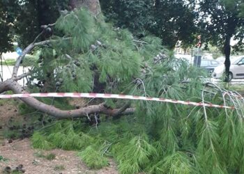 Maltempo, aree verdi interdette: a Vasto e Cupello chiusi villa comunale e parchi pubblici
