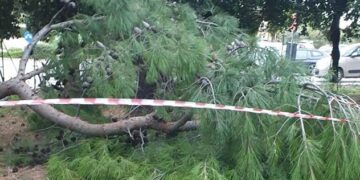 Maltempo, aree verdi interdette: a Vasto e Cupello chiusi villa comunale e parchi pubblici