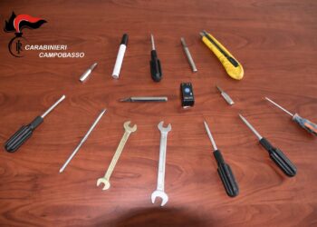 Rubano un’auto a Vasto, ma vengono fermati a Termoli: arrestati due sanseveresi