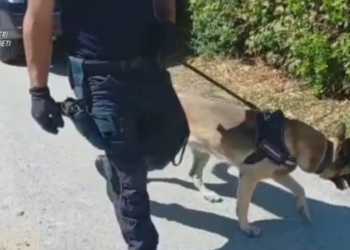 Via vai da una casa, carabinieri si appostano e intervengono con l’unità cinofila: un arresto per spaccio