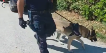 Via vai da una casa, carabinieri si appostano e intervengono con l’unità cinofila: un arresto per spaccio