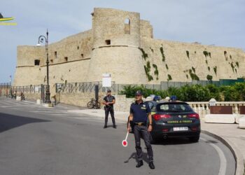 Controlli nei locali e negli stabilimenti: in estate scoperti 35 lavoratori in nero e irregolari