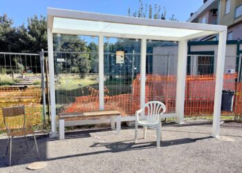 Cantieri a rilento, degrado e cinghiali: «Al quartiere Icea siamo dimenticati da tutti»