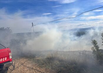 Incendi a Fossacesia: l’intervento della polizia locale contiene le fiamme