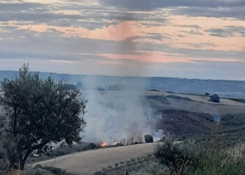 Vallone in fiamme a Vasto, vigili del fuoco spengono il rogo