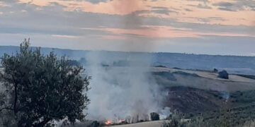 Vallone in fiamme a Vasto, vigili del fuoco spengono il rogo