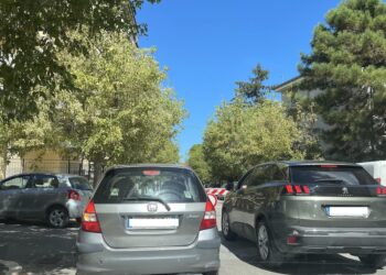 Viabilità e scuola, l’associazione 1000 Alberi risponde: «Il buon esempio deve arrivare dagli adulti»