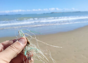 Inquinamento e microplastiche, «Ombrelloni con i filamenti andrebbero messi al bando»