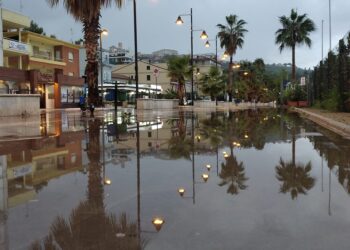 Ondata di maltempo sul litorale: alberi pericolanti e cantine allagate