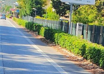 «Noi, turisti di serie B, tra rifiuti, cinghiali e attraversamenti pedonali pericolosi»