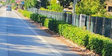 «Noi, turisti di serie B, tra rifiuti, cinghiali e attraversamenti pedonali pericolosi»