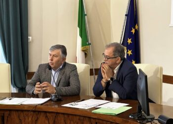 Olio extravergine d’oliva, l’Abruzzo punta al riconoscimento del marchio Igp