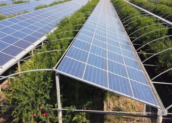 Approvato l’impianto agrivoltaico in progetto a Carunchio: «Contribuisce a ridurre le emissioni»