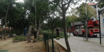 Albero pericolante nel parco Ciccarone, pompieri intervengono con l’autoscala