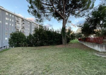 Qui passerà la nuova strada. E i residenti raccolgono le firme per dire «no»