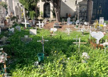 «Al lavoro per migliorare il “cimitero dei bambini”, ma su lapidi rotte servono autorizzazioni»