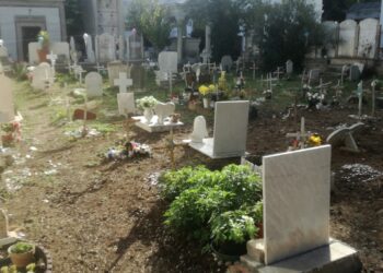 Torna il decoro nel “cimitero dei bambini”: ripulita l’area