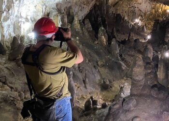 Buon compleanno Costanzo!