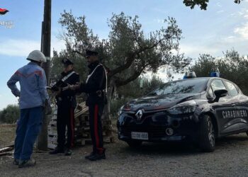 Furti di elettricità e acqua con allacci abusivi: arrestato un agricoltore 60enne