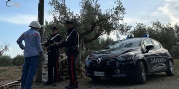 Furti di elettricità e acqua con allacci abusivi: arrestato un agricoltore 60enne