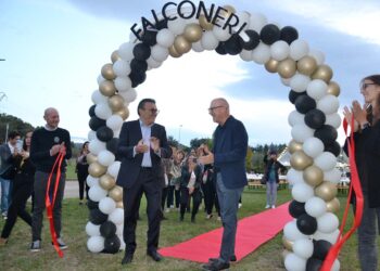 Gissi al centro del mondo Falconeri: dalle ceneri dell’ex Golden nasce il nuovo polo logistico