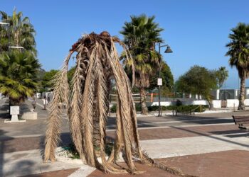 Il lungomare è già vecchio