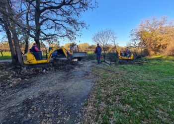 La Regione stanzia 500mila euro per le scogliere di Punta Isolata e la pinetina di Vallevò