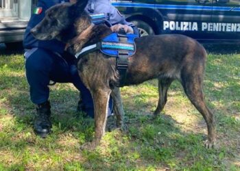 Portava droga al familiare detenuto a Torre Sinello: scoperto dalla polizia penitenziaria