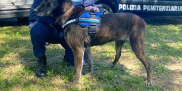 Portava droga al familiare detenuto a Torre Sinello: scoperto dalla polizia penitenziaria