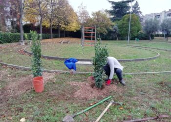 “Una mano alla Natura”, piantati trenta nuovi alberi nel parco di Santa Rita