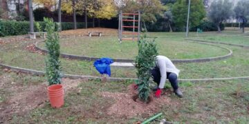 “Una mano alla Natura”, piantati trenta nuovi alberi nel parco di Santa Rita