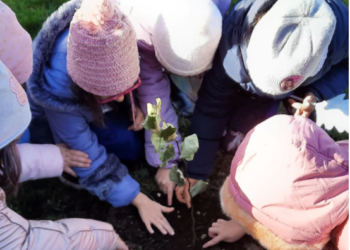 Tutela ambientale, benessere e biodiversità: l’Istituto Comprensivo di Castiglione celebra gli alberi