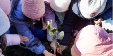 Tutela ambientale, benessere e biodiversità: l’Istituto Comprensivo di Castiglione celebra gli alberi