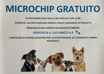 Anagrafe canina regionale: sabato 26 a Paglieta microchip gratuiti