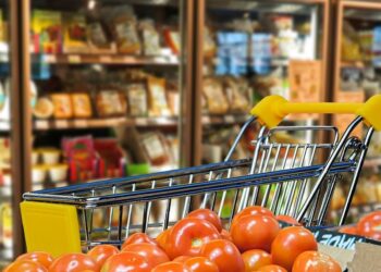 Sabato 12 novembre a Vasto la raccolta alimentare per le famiglie in difficoltà