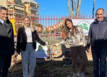 Festa dell’Albero, Madrecultura dona due ulivi agli asili nido “San Paolo” e “Tana dei cuccioli”