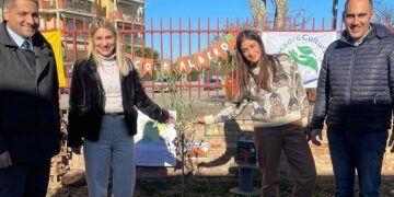 Festa dell’Albero, Madrecultura dona due ulivi agli asili nido “San Paolo” e “Tana dei cuccioli”