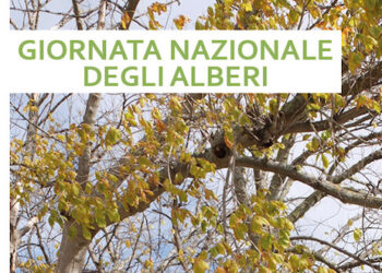 Alla scoperta degli alberi di Vasto con il Cai