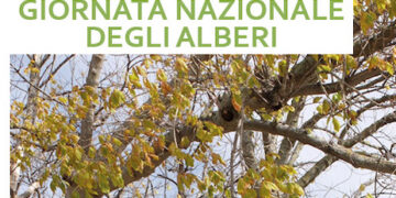 Alla scoperta degli alberi di Vasto con il Cai