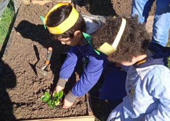 Gli alunni di Guilmi “giardinieri” per un giorno: in paese la frutta è a chilometro 0
