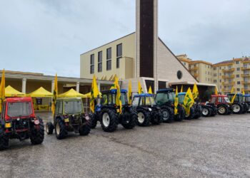 Gli agricoltori del territorio insieme per la Giornata del Ringraziamento