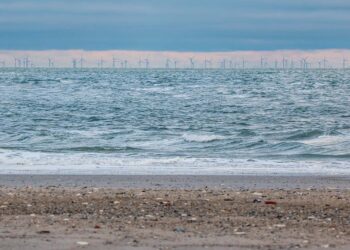 Ecco il primo parco eolico in mare d’Abruzzo: 54 torri a 25 chilometri dal porto di Punta Penna