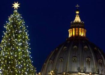 Abete della discordia, bloccato il taglio dell’albero destinato a piazza San Pietro