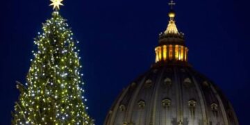 Abete della discordia, bloccato il taglio dell’albero destinato a piazza San Pietro
